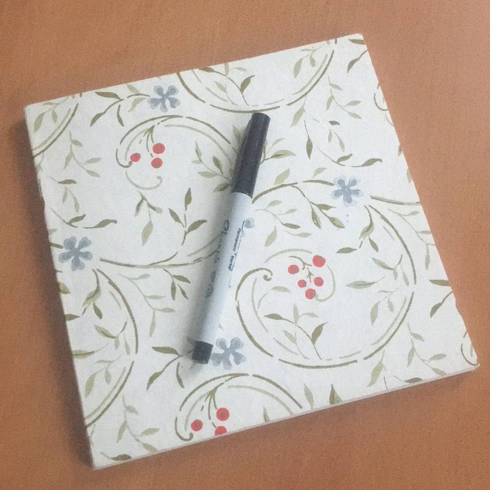 2 Spring journals with blank pages